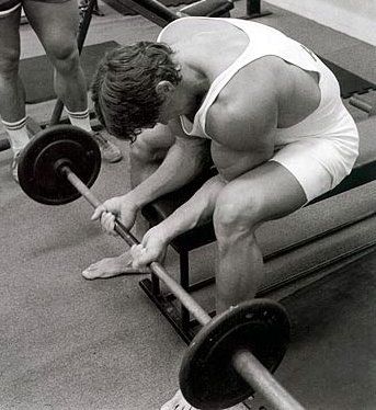 10-arnold-schwarzenegger-forearm-palm-up-wrist.jpg