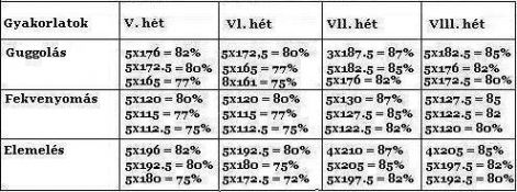 3._v-vlll..jpg