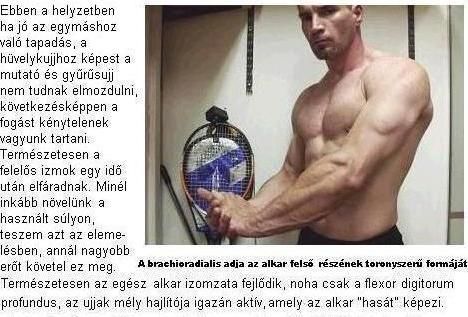 alkar._szoveg..jpg alkar._szoveg..jpg