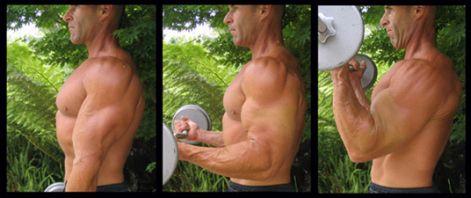 barbell_curl.jpg
