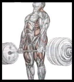 deadlift._front.jpg