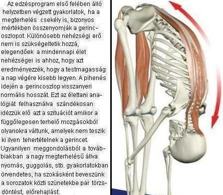 edzestervezes_oldal.jpg