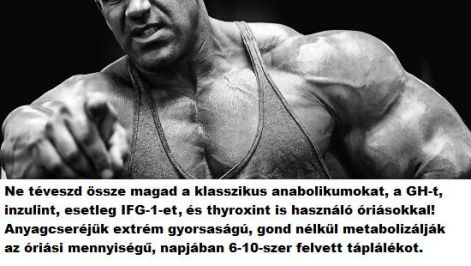 felhivas.jpg felhivas.jpg