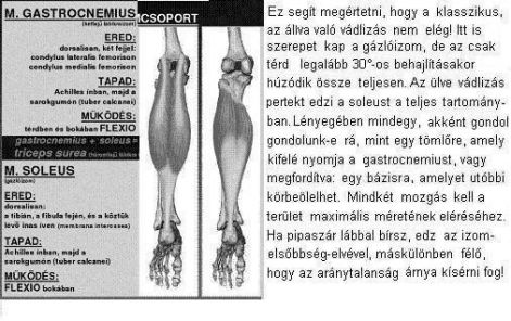haromfeju_labikraizom.jpg haromfeju_labikraizom.jpg