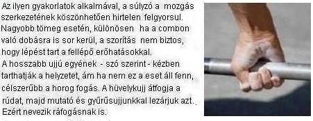 horog_fogas_leirasa.jpg horog_fogas_leirasa.jpg