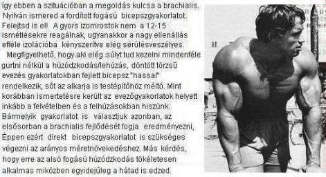 karhajlitok.jpg karhajlitok.jpg