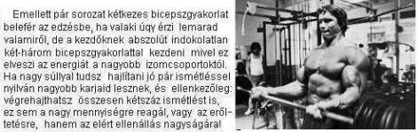 ketkaros_bicepsz.jpg ketkaros_bicepsz.jpg