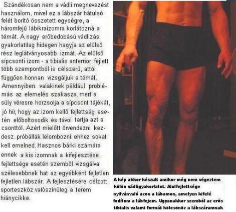 labszarizmok.jpg labszarizmok.jpg