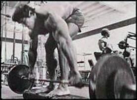 schwarzenegger._evezes_dontott_torzzsel_1.jpg