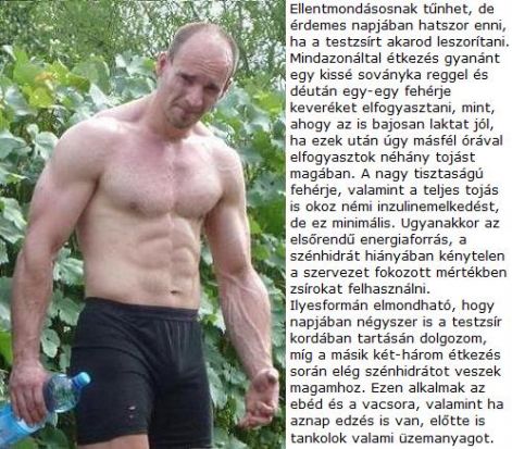 szenhidrat.jpg szenhidrat.jpg