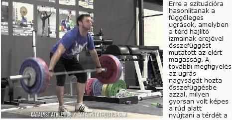 terdnyujtas_gyorsasaga.jpg