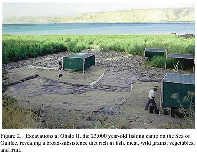 to_halban_gazdag_etrendet_hust_vad_arpaszemeket_zoldseget_es_gyumolcsot.jpg to_halban_gazdag_etrendet_hust_vad_arpaszemeket_zoldseget_es_gyumolcsot.jpg