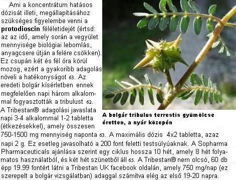 tribulus.jpg
