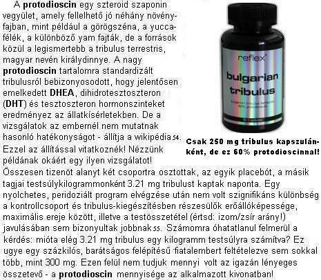tribulus_terrestis.jpg
