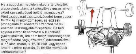 tricepsz.jpg tricepsz.jpg